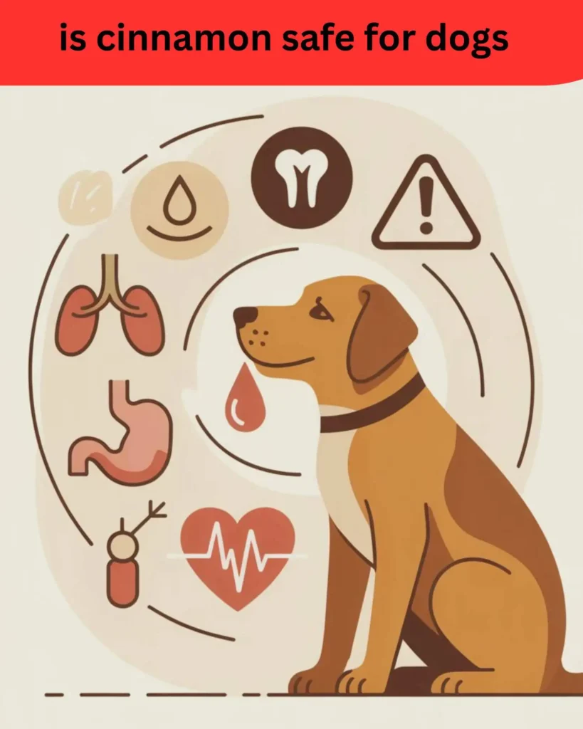 is cinnamon safe for dogs